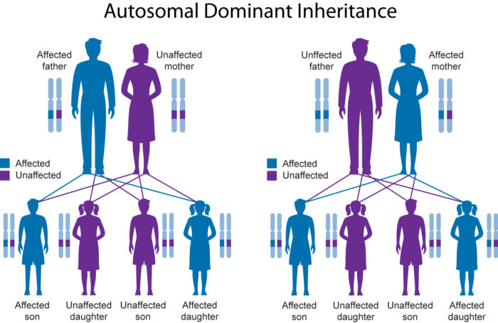 autosomal dominance inheritance