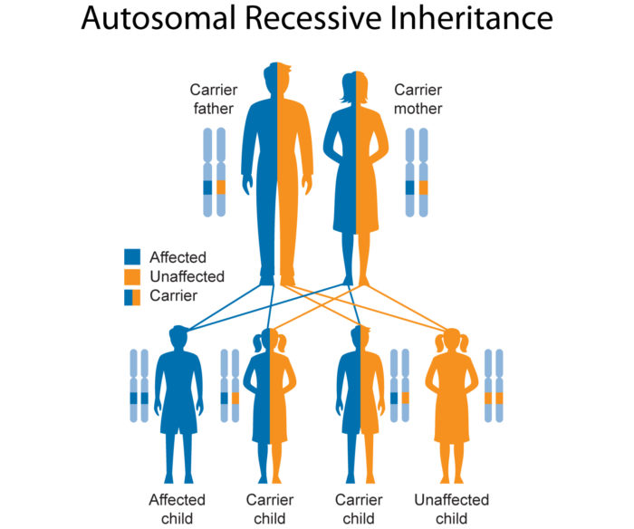Inheritance