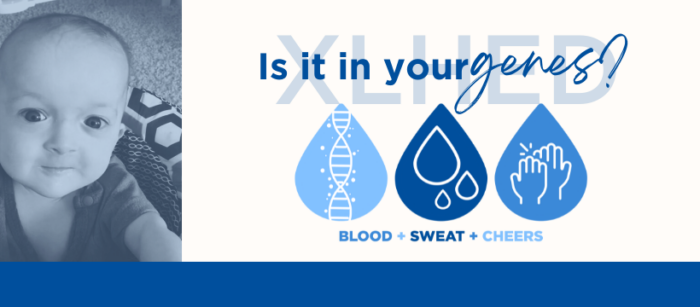 Blood, Sweat & Tears. Is XLHED in your genes?