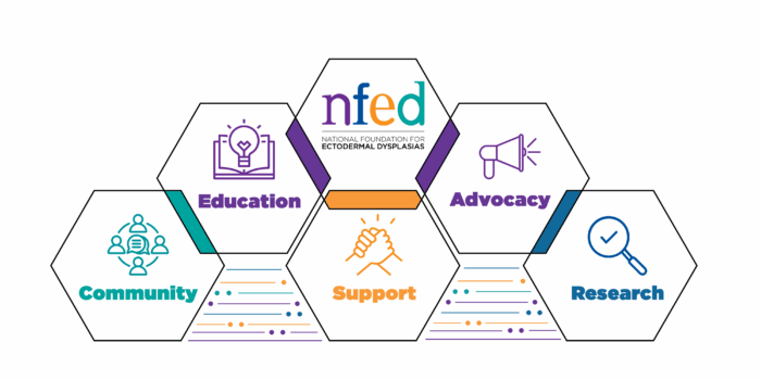 This graphic shows six hexagons, each with a word from the NFED's pillars.